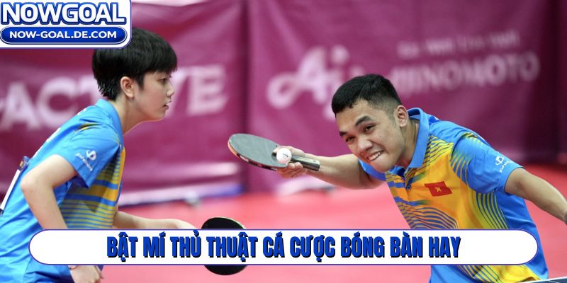 Bật mí thủ thuật cá cược bóng bàn hay