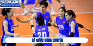 Cá cược bóng chuyền