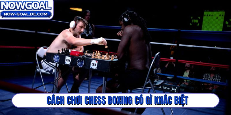 Cách chơi Chess Boxing có gì khác biệt?