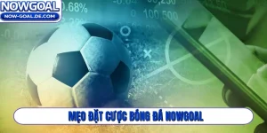 mẹo đặt cược bóng đá Nowgoal