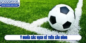 Ý nghĩa các vạch kẻ trên sân bóng