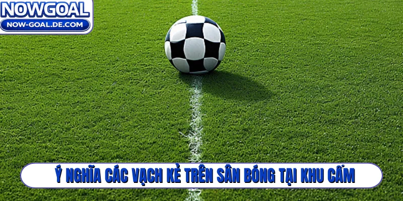Ý nghĩa các vạch kẻ trên sân bóng tại khu cấm